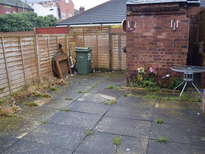 Picture 13